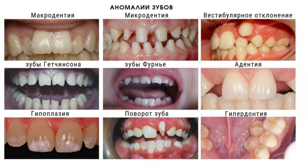стоматология ортодонтическая2.jpg